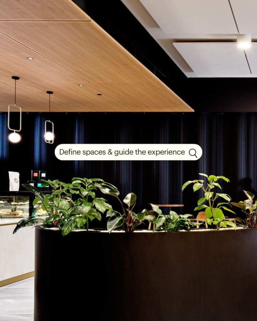 Timber Ceiling and SoundScapes Shapes